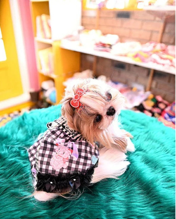 J&Kアニマルズ J&K animals ゴスロリ シャツ【小型犬 犬服 トップス シャツ】
