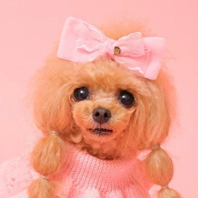 ゴッドピヴァ GODPIVA ベロアホイップバレッタ【小型犬 犬用 ヘアアクセサリー バレッタ セレブ】