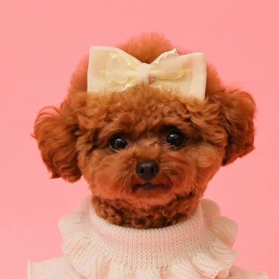 ゴッドピヴァ GODPIVA ベロアホイップバレッタ【小型犬 犬用 ヘアアクセサリー バレッタ セレブ】