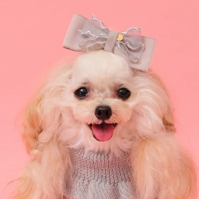 ゴッドピヴァ GODPIVA ベロアホイップバレッタ【小型犬 犬用 ヘアアクセサリー バレッタ セレブ】