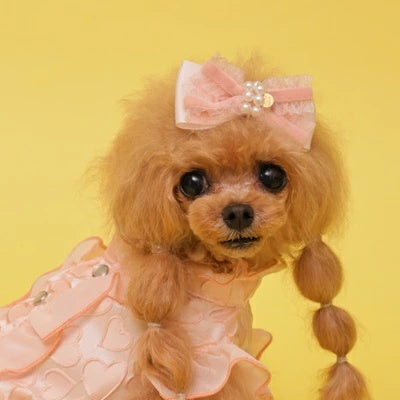 ゴッドピヴァ GODPIVA ドーリーフリルリボン【小型犬 犬用 ヘアアクセサリー バレッタ セレブ】