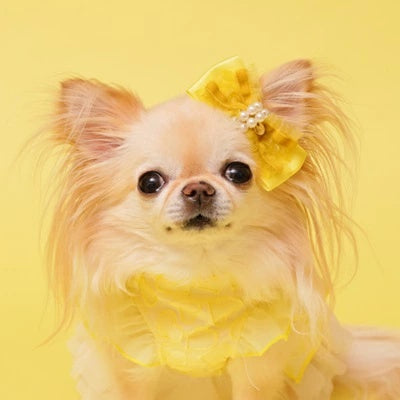 ゴッドピヴァ GODPIVA ドーリーフリルリボン【小型犬 犬用 ヘアアクセサリー バレッタ セレブ】