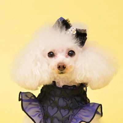 ゴッドピヴァ GODPIVA ドーリーフリルリボン【小型犬 犬用 ヘアアクセサリー バレッタ セレブ】