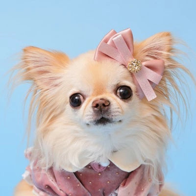 ゴッドピヴァ GODPIVA ビジューベルバレッタ【小型犬 犬用 ヘアアクセサリー バレッタ セレブ】