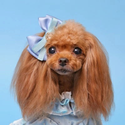 ゴッドピヴァ GODPIVA ビジューベルバレッタ【小型犬 犬用 ヘアアクセサリー バレッタ セレブ】