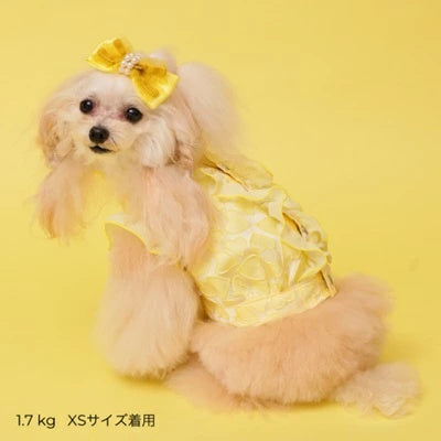 ゴッドピヴァ GODPIVA ハートフリルブラウス【小型犬 犬服 トップス ブラウス シャツ】