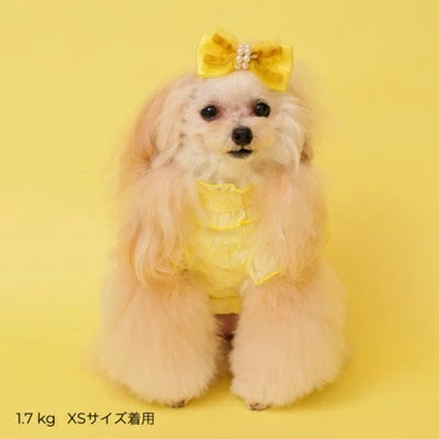 ゴッドピヴァ GODPIVA ハートフリルブラウス【小型犬 犬服 トップス ブラウス シャツ】