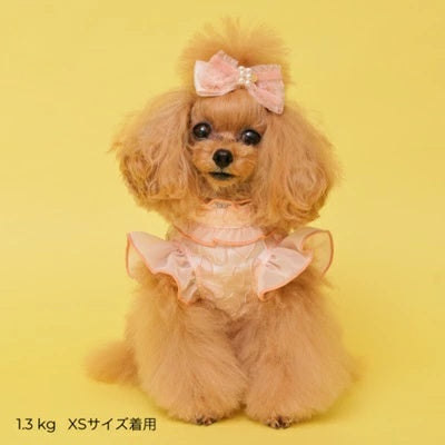 ゴッドピヴァ GODPIVA ハートフリルブラウス【小型犬 犬服 トップス ブラウス シャツ】
