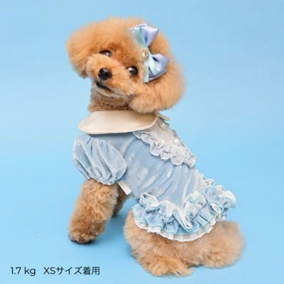 ゴッドピヴァ GODPIVA ドットプリマタンク【小型犬 犬服 トップス タンクトップ】