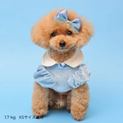 ゴッドピヴァ GODPIVA ドットプリマタンク【小型犬 犬服 トップス タンクトップ】
