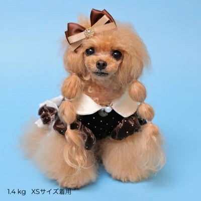 ゴッドピヴァ GODPIVA ドットプリマタンク【小型犬 犬服 トップス タンクトップ】