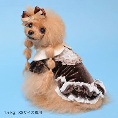 ゴッドピヴァ GODPIVA ドットプリマタンク【小型犬 犬服 トップス タンクトップ】