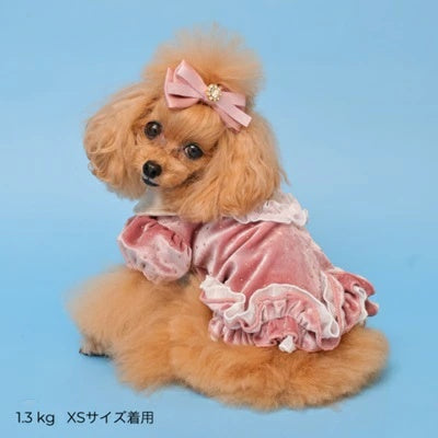 ゴッドピヴァ GODPIVA ドットプリマタンク【小型犬 犬服 トップス タンクトップ】