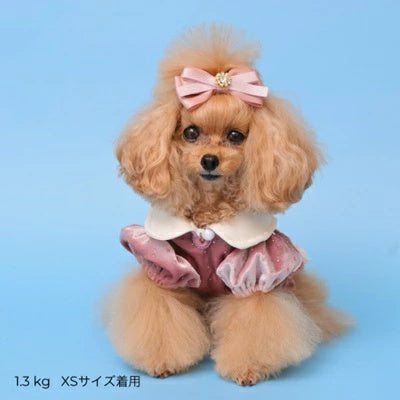 ゴッドピヴァ GODPIVA ドットプリマタンク【小型犬 犬服 トップス タンクトップ】