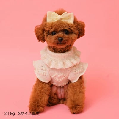 ゴッドピヴァ GODPIVA 2025AW ローゲージニットワンピース【小型犬 犬服 ワンピース ドレス スカート】