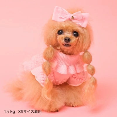 ゴッドピヴァ GODPIVA 2025AW ローゲージニットワンピース【小型犬 犬服 ワンピース ドレス スカート】