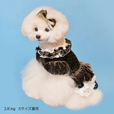 ゴッドピヴァ GODPIVA ドットプリマワンピース【小型犬 犬服 ワンピース ドレス スカート】