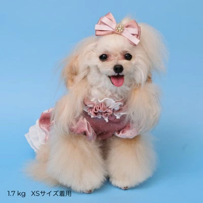 ゴッドピヴァ GODPIVA ドットプリマワンピース【小型犬 犬服 ワンピース ドレス スカート】