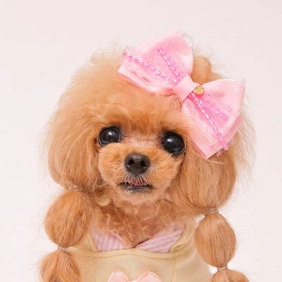 ゴッドピヴァ GODPIVA クリスタルフリルリボン【小型犬 犬用 ヘアアクセサリー リボン】