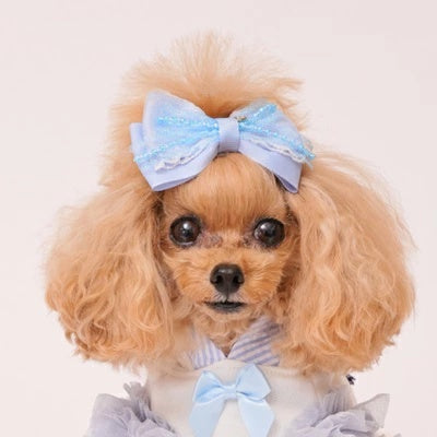 ゴッドピヴァ GODPIVA クリスタルフリルリボン【小型犬 犬用 ヘアアクセサリー リボン】