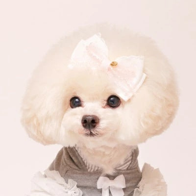 ゴッドピヴァ GODPIVA クリスタルフリルリボン【小型犬 犬用 ヘアアクセサリー リボン】