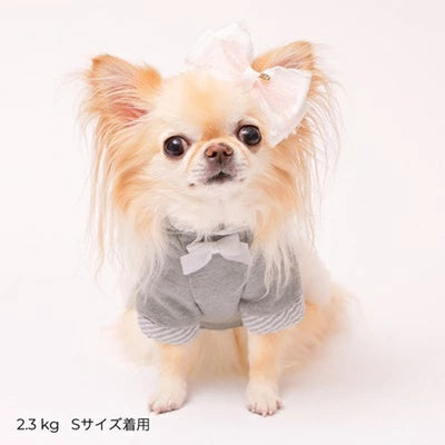 ゴッドピヴァ GODPIVA バレエピクニックワンピース【小型犬 犬服 ワンピース ドレス スカート】