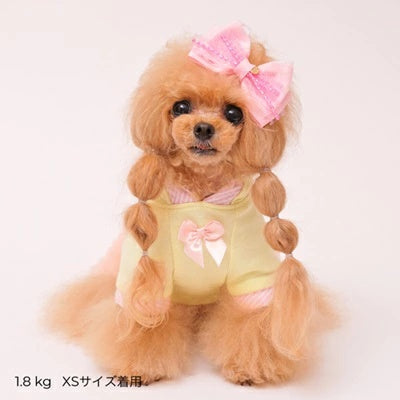 ゴッドピヴァ GODPIVA バレエピクニックワンピース【小型犬 犬服 ワンピース ドレス スカート】