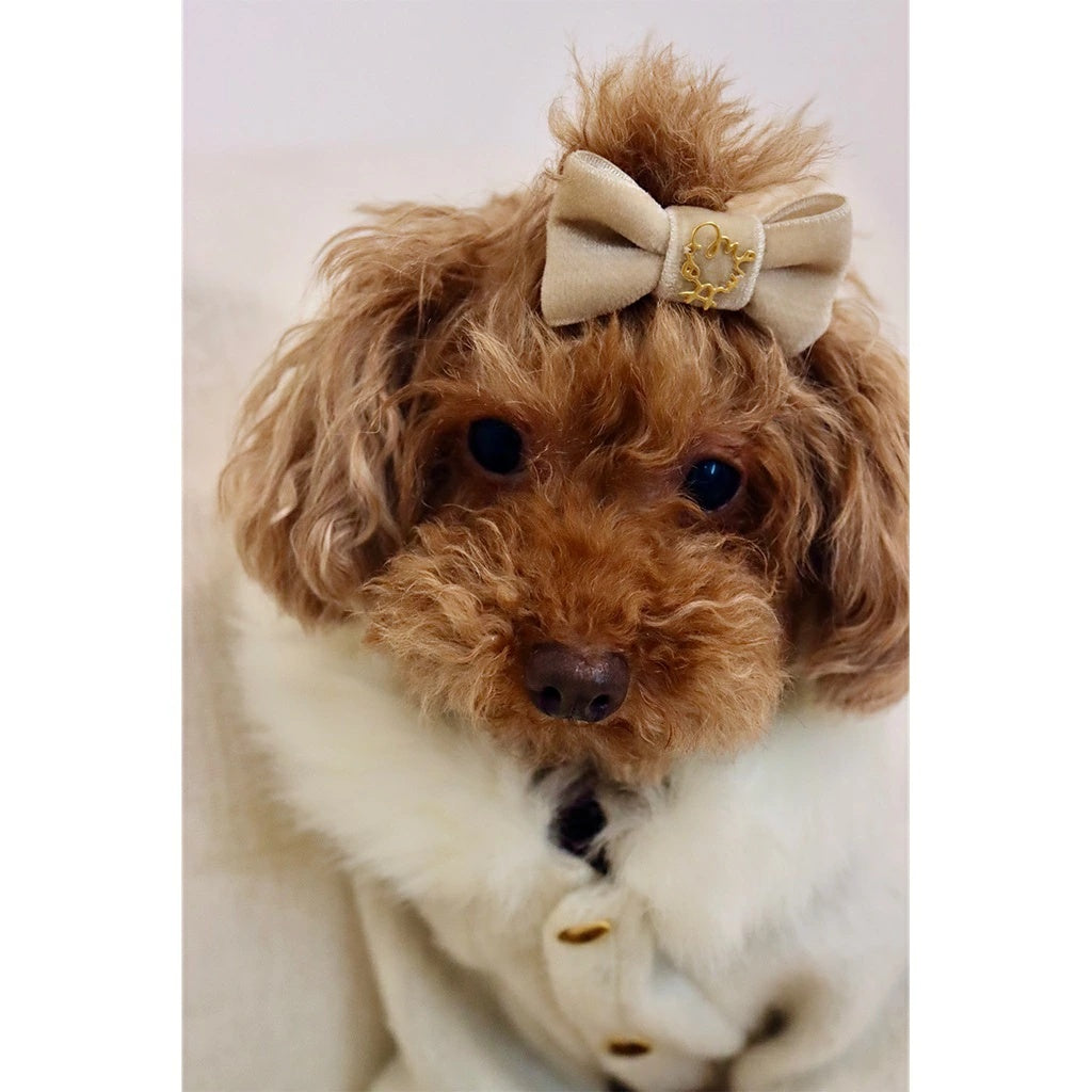 ミムット mimtto Barrette Velour【小型犬 犬用 ヘアアクセサリー バレッタ セレブ】