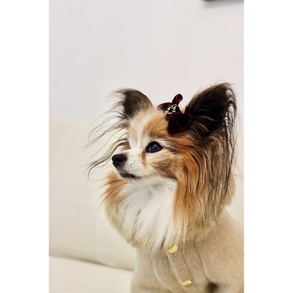 ミムット mimtto Barrette Velour【小型犬 犬用 ヘアアクセサリー バレッタ セレブ】