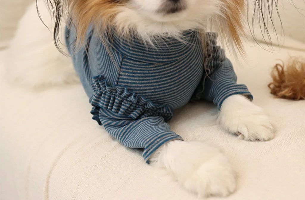 ミムット mimtto Warm border turtleneck shirt【小型犬 犬服 トップス Tシャツ 長袖 カットソー セレブ】