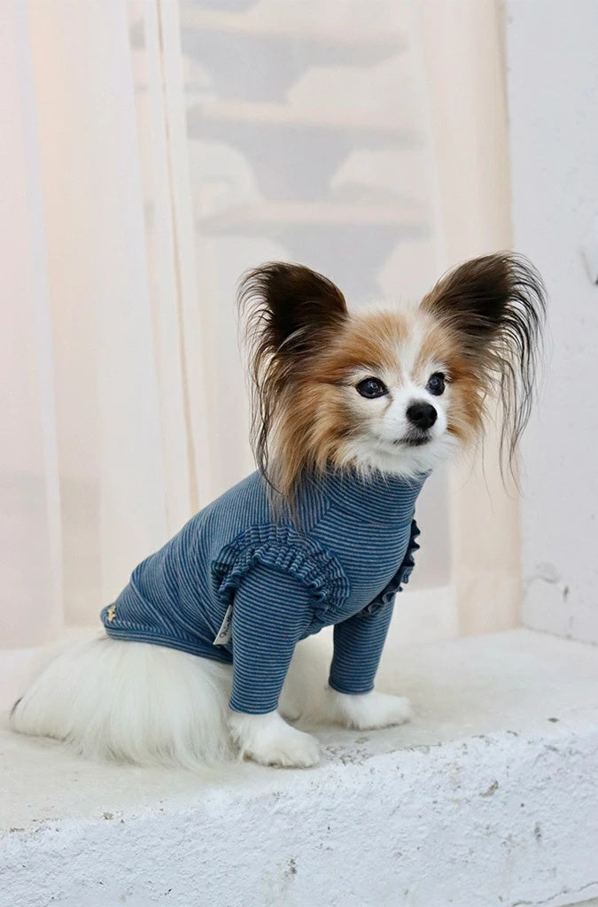 ミムット mimtto Warm border turtleneck shirt【小型犬 犬服 トップス Tシャツ 長袖 カットソー セレブ】