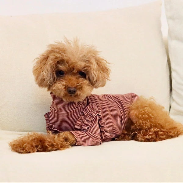 ミムット mimtto Warm border turtleneck shirt【小型犬 犬服 トップス Tシャツ 長袖 カットソー セレブ】