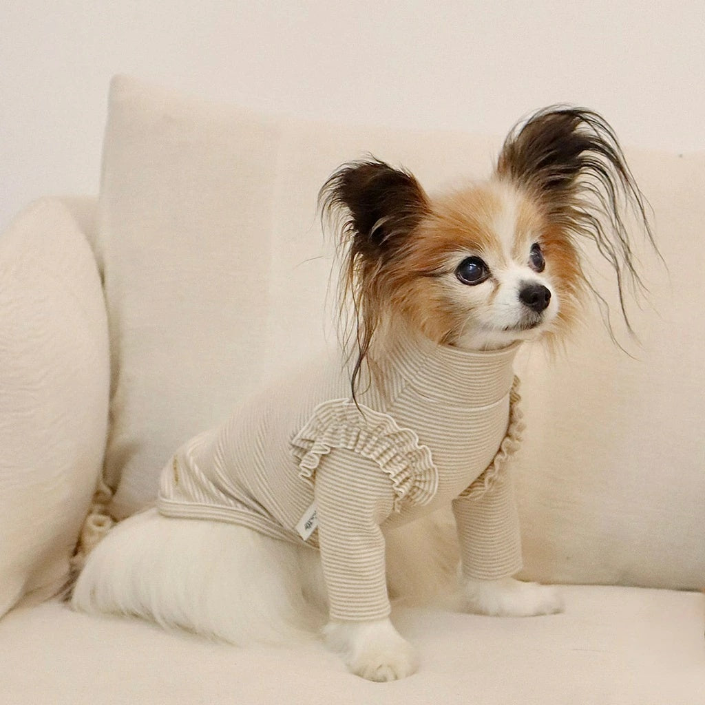 ミムット mimtto Warm border turtleneck shirt【小型犬 犬服 トップス Tシャツ 長袖 カットソー セレブ】