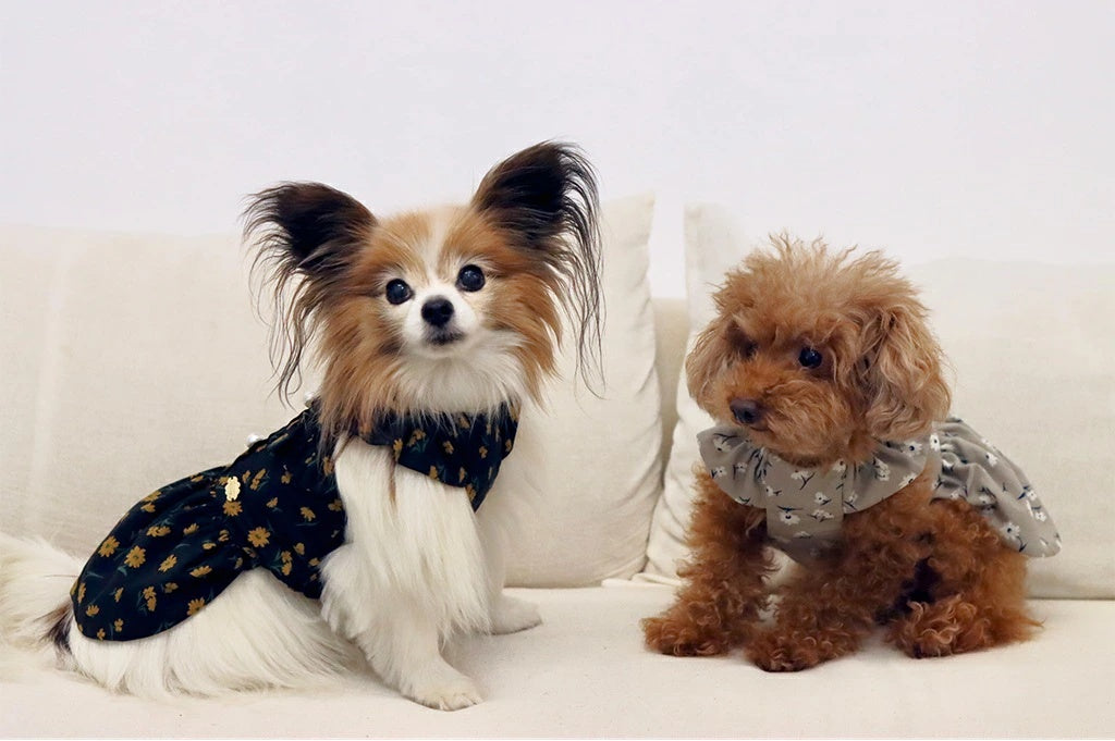 ミムット mimtto Floral dress【小型犬 犬服 ワンピース ドレス スカート セレブ】