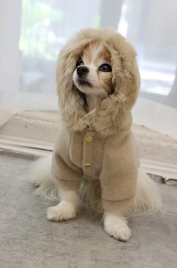 ミムット mimtto Fur lined hoodie【小型犬 犬服 アウター フーディ パーカー セレブ】
