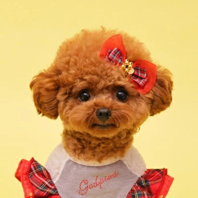 ゴッドピヴァ GODPIVA★ご予約★ロイヤルタータンバレッタ【小型犬 犬用 ヘアアクセサリー バレッタ セレブ】