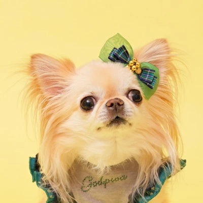 ゴッドピヴァ GODPIVA★ご予約★ロイヤルタータンバレッタ【小型犬 犬用 ヘアアクセサリー バレッタ セレブ】