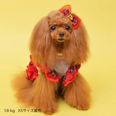 ゴッドピヴァ GODPIVA★ご予約★あったかテラボアチェックワンピース【小型犬 犬服 ワンピース ドレス スカート セレブ】