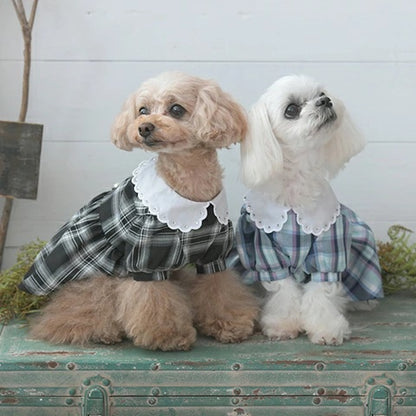 アナ スイ ANNA SUI リボンチャーム付きチェック柄ワンピース【小型犬 犬服 ワンピース ドレス スカート セレブ】