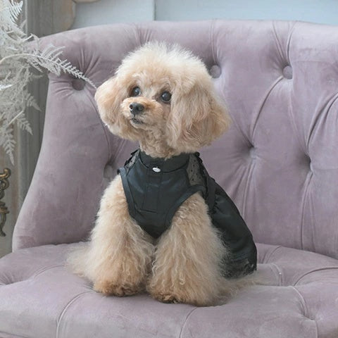 アナ スイ ANNA SUI サテンドレス【小型犬 犬服 ワンピース ドレス スカート セレブ】