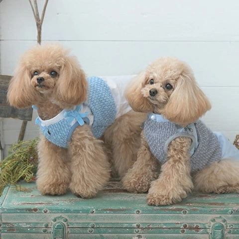 ロペピクニック ROPE PICNIC ラメニットドッキングワンピース【小型犬 犬服 ウエア ワンピース ドレス スカート セレブ】
