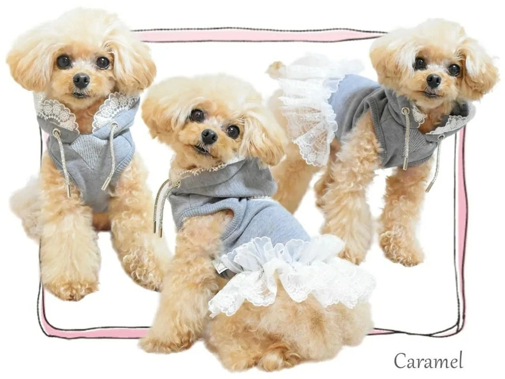 サーカスサーカス circus circus Classy Laced Hoodie(CW-0289)【小型犬 犬用 ウエア トップス スウェット フーディ】