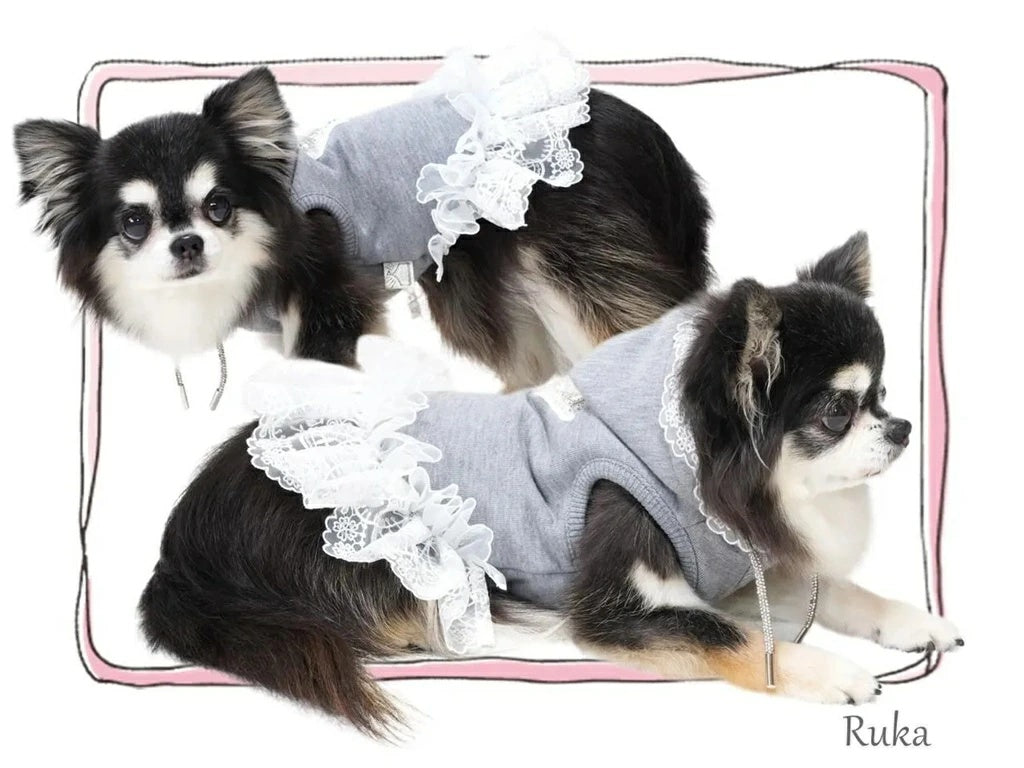 サーカスサーカス circus circus Classy Laced Hoodie(CW-0289)【小型犬 犬用 ウエア トップス スウェット フーディ】