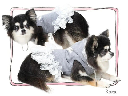 サーカスサーカス circus circus Classy Laced Hoodie(CW-0289)【小型犬 犬用 ウエア トップス スウェット フーディ】