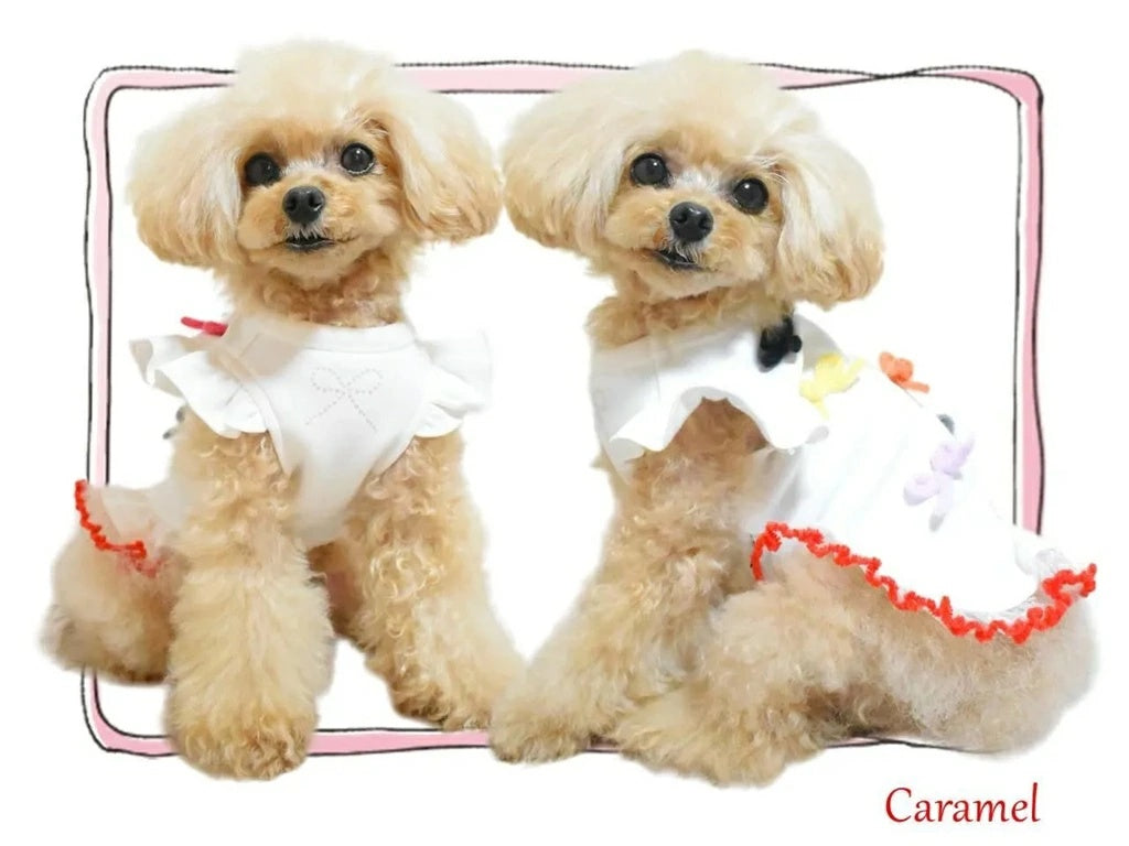 サーカスサーカス circus circus Charming Ribbon Sweat(CCW-0290)【小型犬 犬用 ウエア ワンピース スカート スウェット】