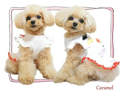 サーカスサーカス circus circus Charming Ribbon Sweat(CCW-0290)【小型犬 犬用 ウエア ワンピース スカート スウェット】