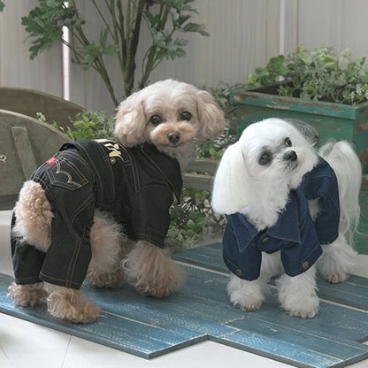 エドウイン EDWIN デニムライクセットアップ【小型犬 犬服 ウエア トップス セットアップ ジャケット パンツ カジュアル】