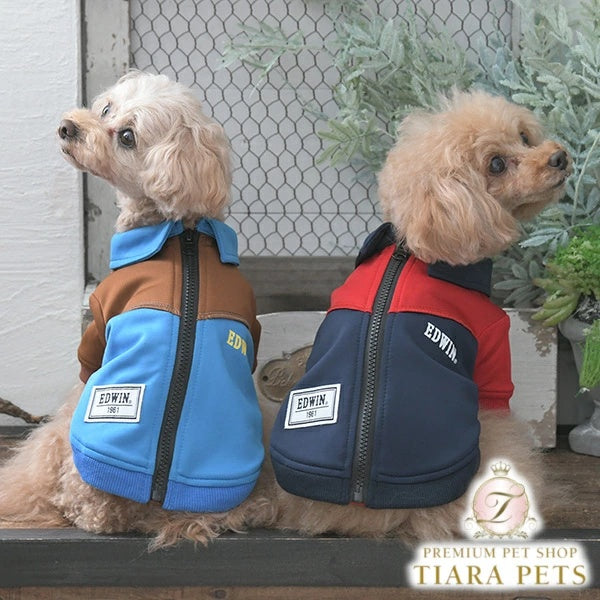 エドウイン EDWIN 切替バイカラージャケット【小型犬 犬服 ウエア アウター ジャケット カジュアル】