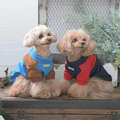 エドウイン EDWIN 切替バイカラージャケット【小型犬 犬服 ウエア アウター ジャケット カジュアル】