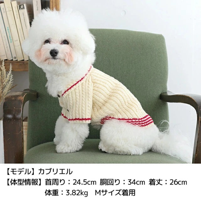 ディーズチャット D's CHAT 襟ラインニット【犬服 小型犬 ダックス フレブル ドッグウェア トップス ニット セーター】